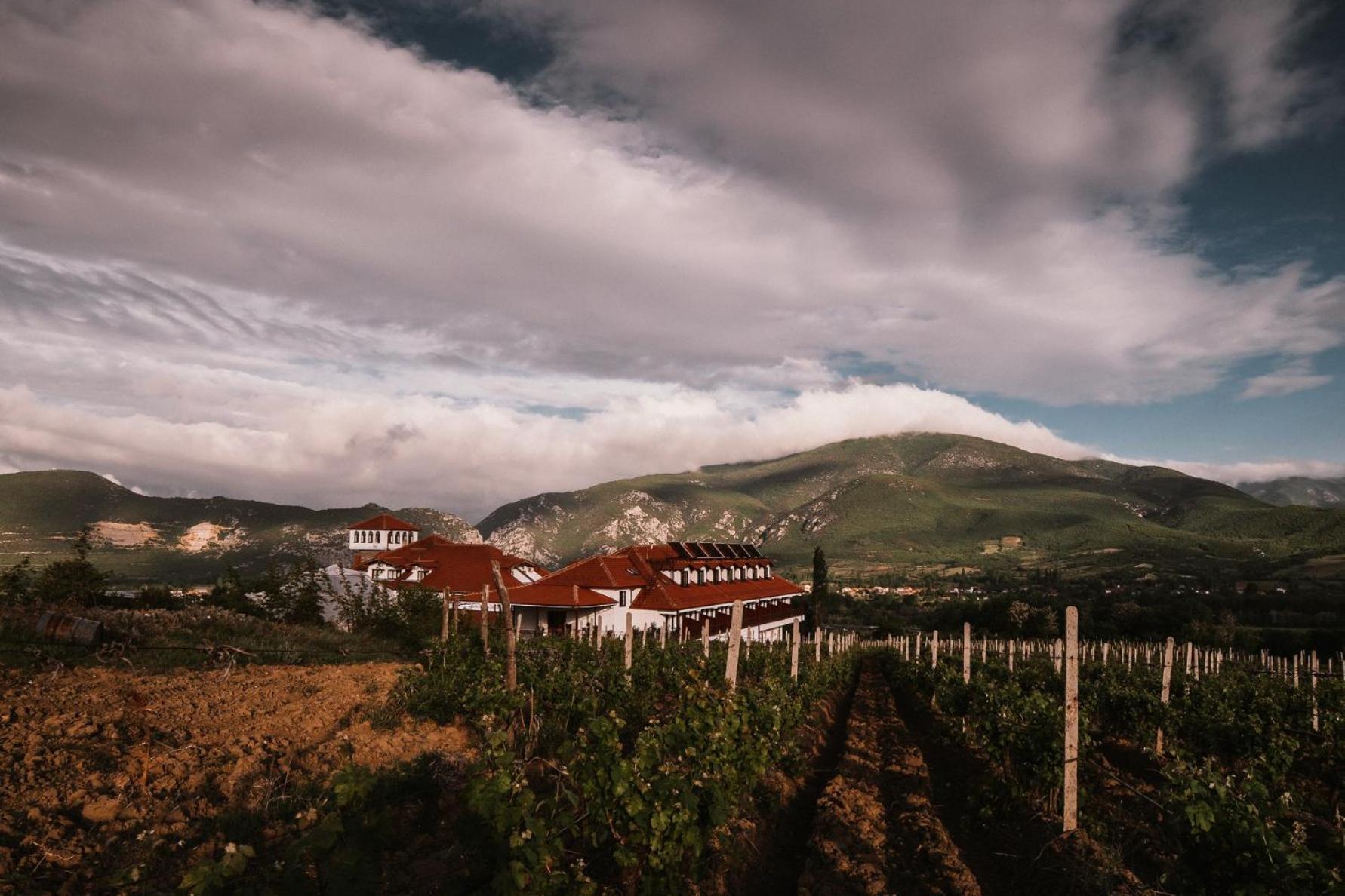 Popova Kula Hotel & Winery Demir Kapija Kültér fotó