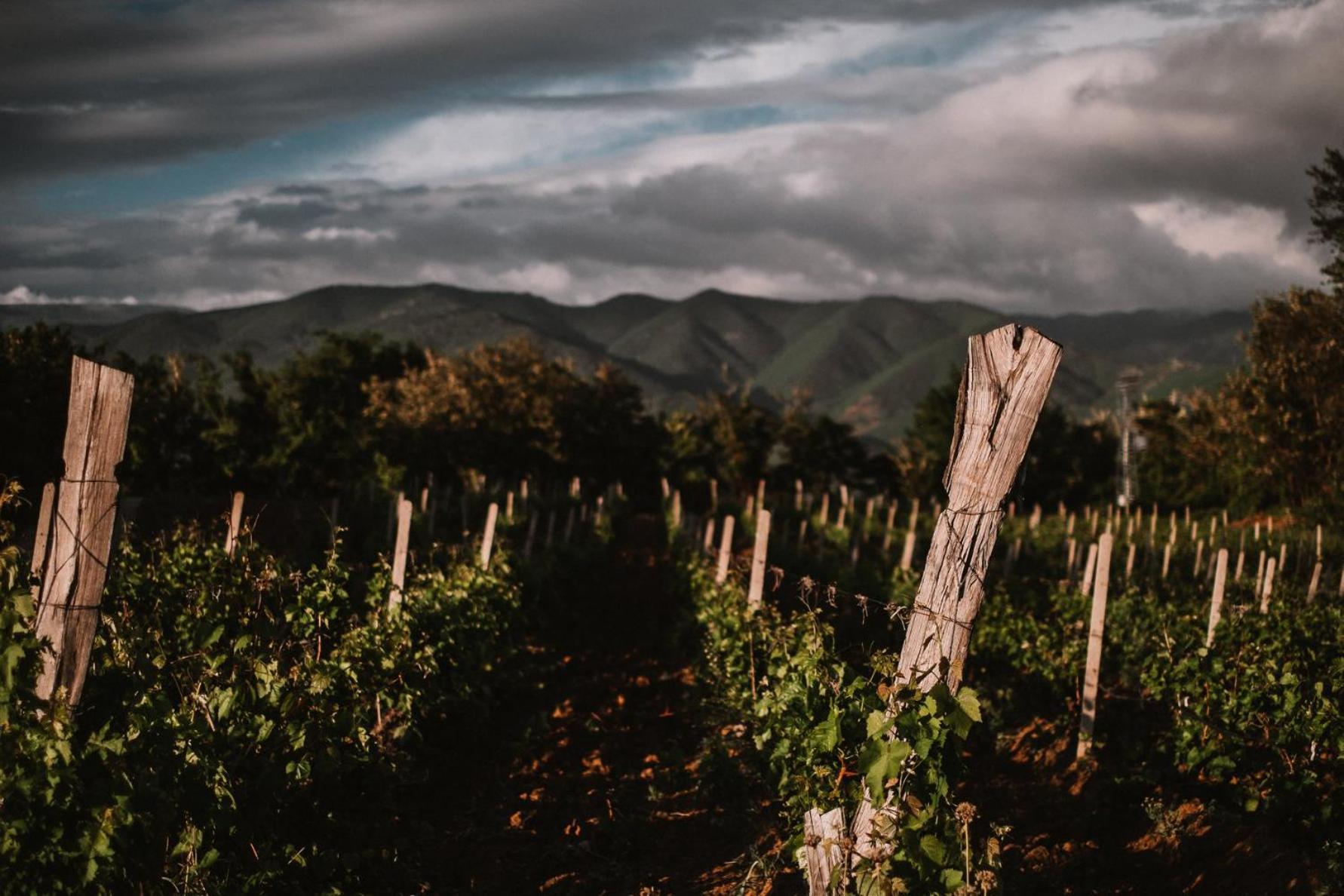 Popova Kula Hotel & Winery Demir Kapija Kültér fotó